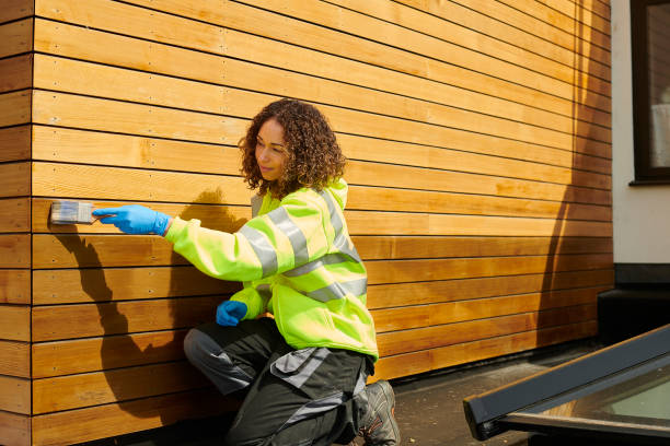Best Custom Trim and Detailing for Siding  in North Lauderdale, FL